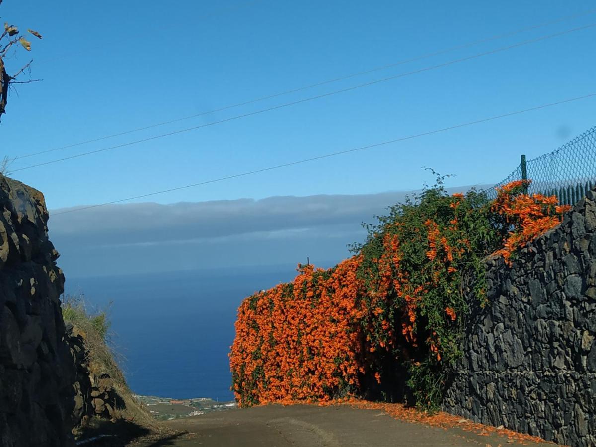Finca Rural House Tenerife Relax And Enjoy Santa Ursula  Exterior photo