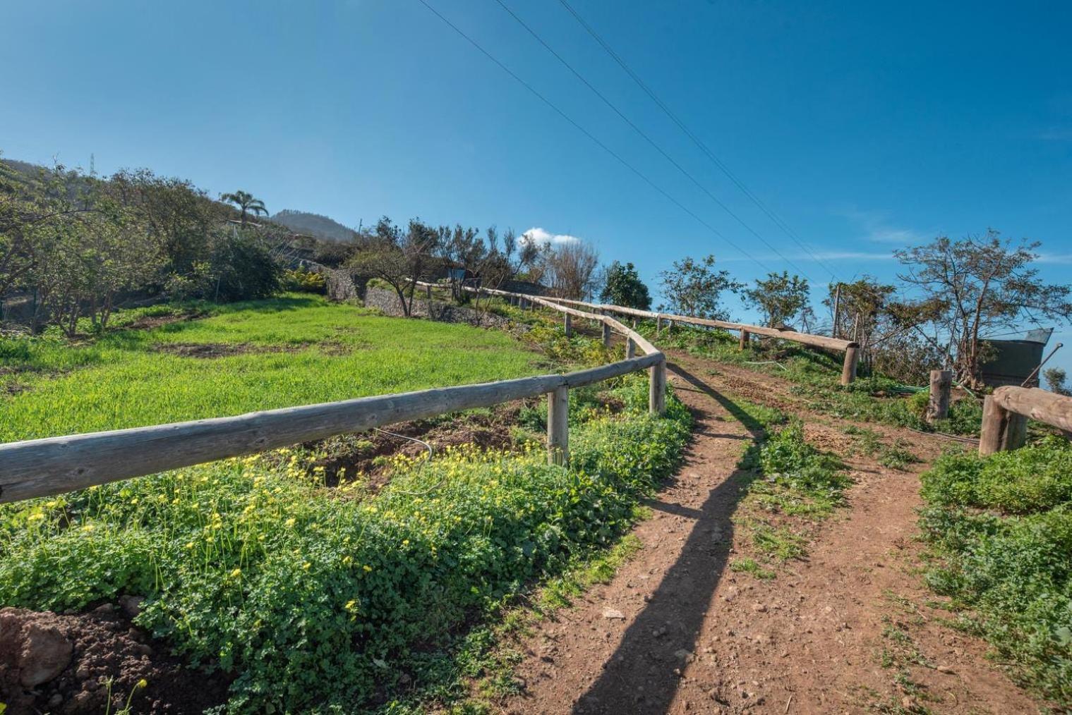 Finca Rural House Tenerife Relax And Enjoy Santa Ursula  Exterior photo